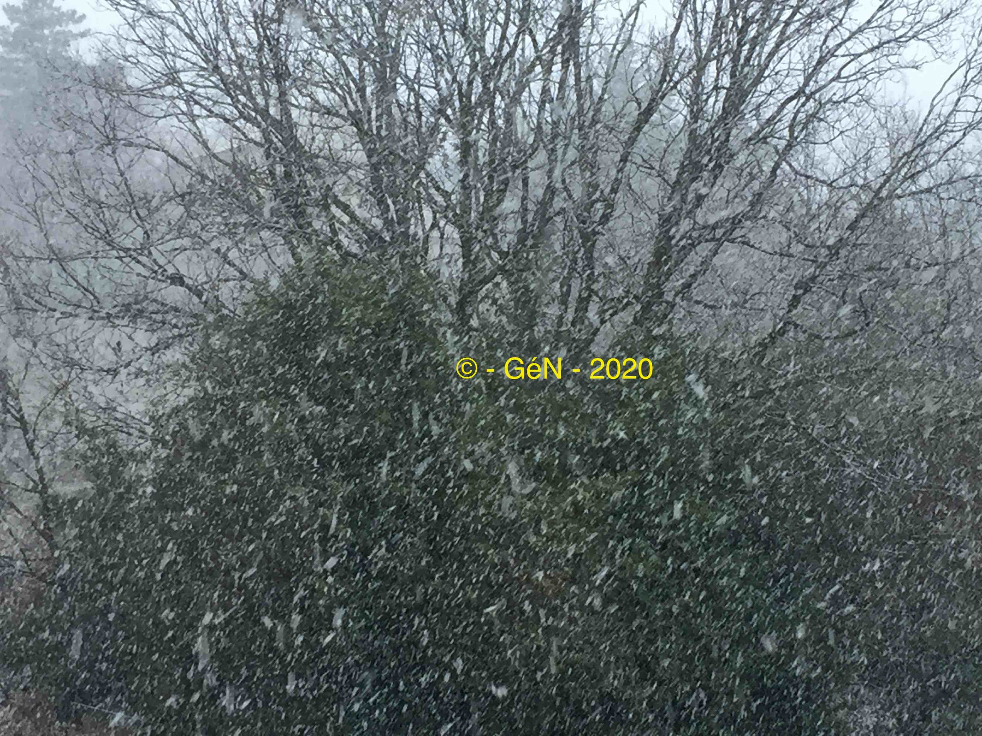 Neige soudaine au Mercredi des Cendres en 2020