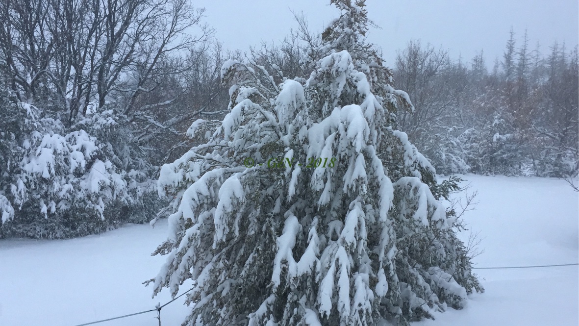 Neige en 2018