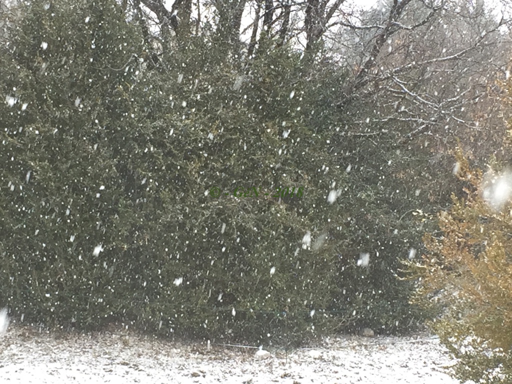 neige du 28/02/2018