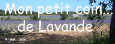 Mon petit coin du Ventoux