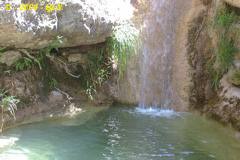 Petit coin de paradis