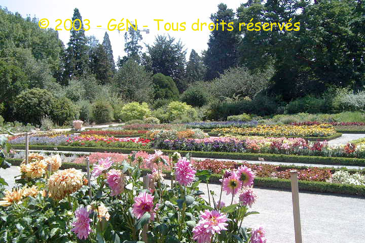 Que de fleurs au Jardin Alpin!